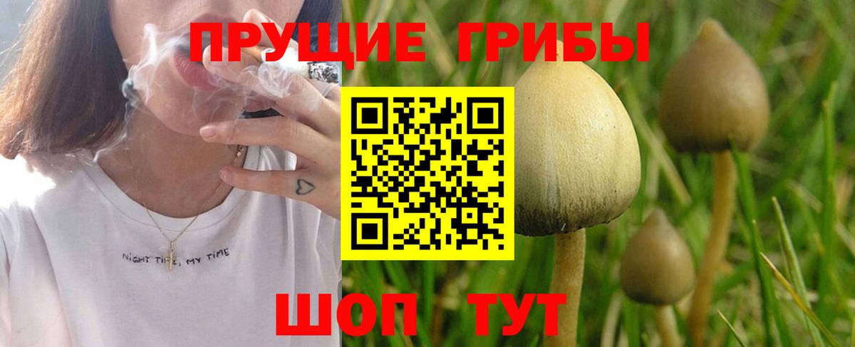 Галлюциногенные грибы ЛСД  Вход с VPN  Коломна 